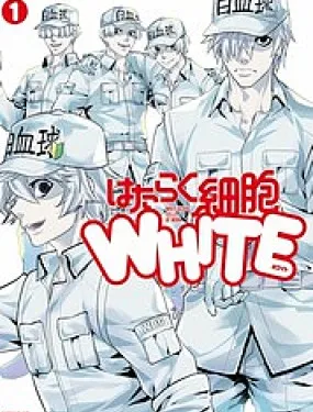 工作细胞WHITE