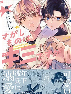 你是我的所寻之物吗