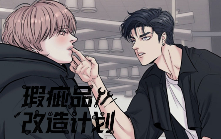 瑕疵品改造计划 - xcpgzjh