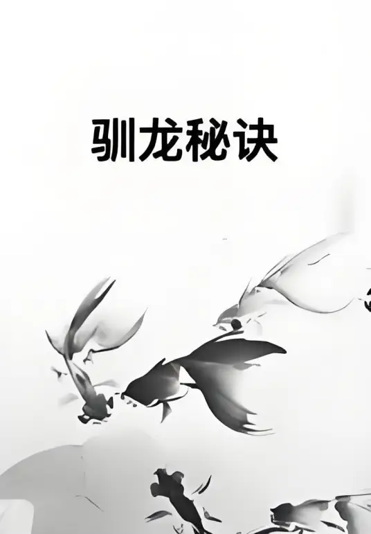 驯龙秘诀
