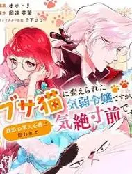 软弱千金变笨猫