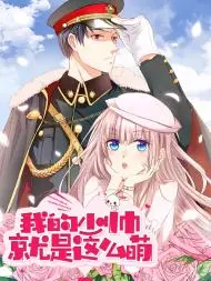 我的少帅就是这么萌