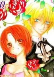 眼眸开始的Destiny