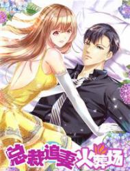 总裁追妻火葬场