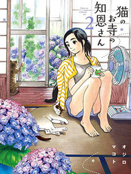 猫之寺的知恩姐