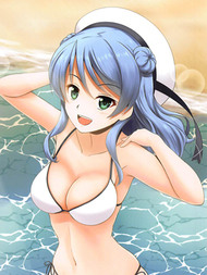 (c94)水着艦娘これくしょん