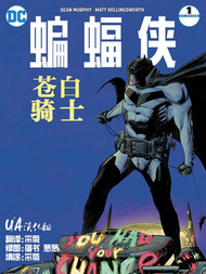 蝙蝠侠：苍白骑士