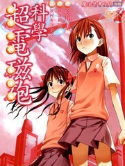 某科学的超电磁炮