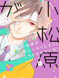 小松原一脸爱欲地看着我