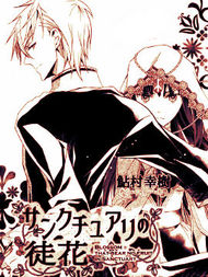 圣殿里盛放的无果之花