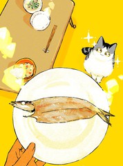 和猫在一起生活的日记