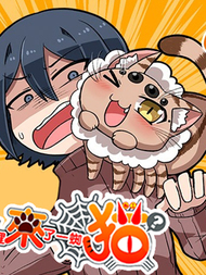 阳台里来了一蜘猫